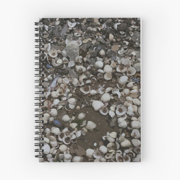 Item preview, Sea Shells designed and sold by Colin Bentham.