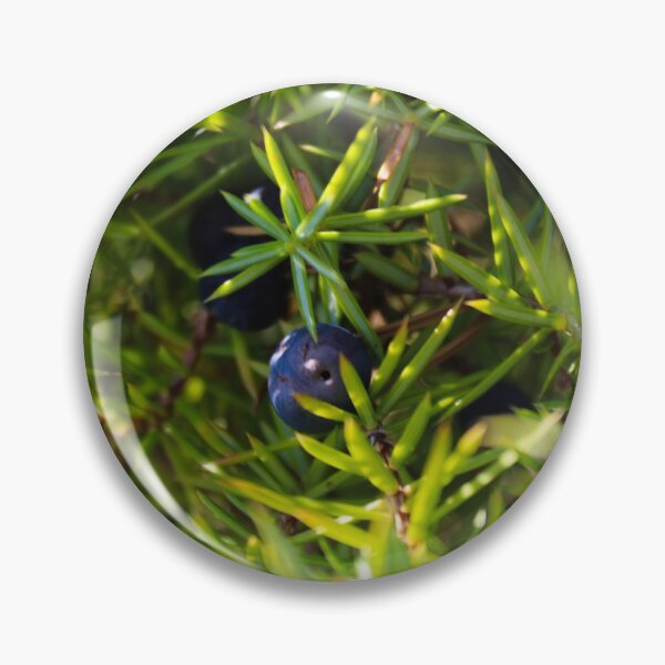 Item preview, Blue Juniper berry designed and sold by Mahirov Shop.