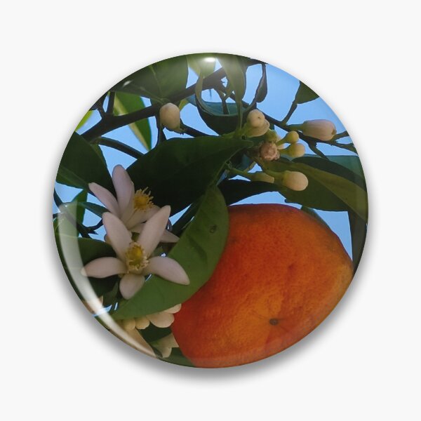 Item preview, Mandarin orange fruit with flowers designed and sold by Mahirov Shop.