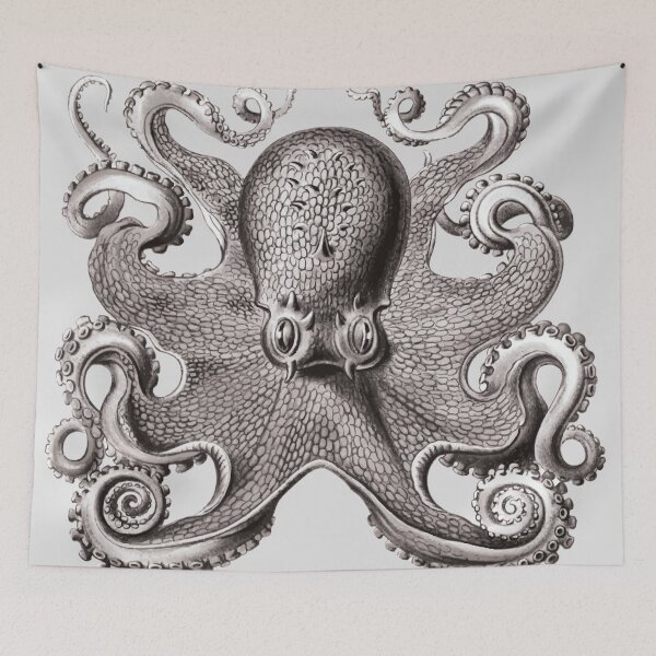 Item preview, Octopus designed and sold by Anzarr.