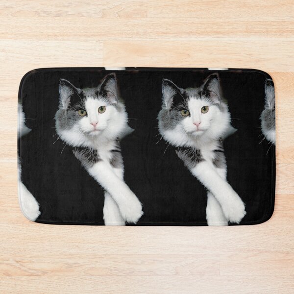 Item preview, r2743/ 4 " avec le Studio Portable Okaio et 3 (bal) flahs Okaio  - Les Chats du temps de l'Argentique - Cats from the time of the film "  (h) Olavia-Olao Okaio Créations designed and sold by o.okaïo.