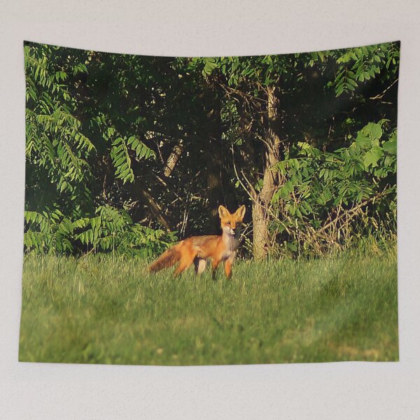 Item preview, Red Fox designed and sold by cherylorraine.