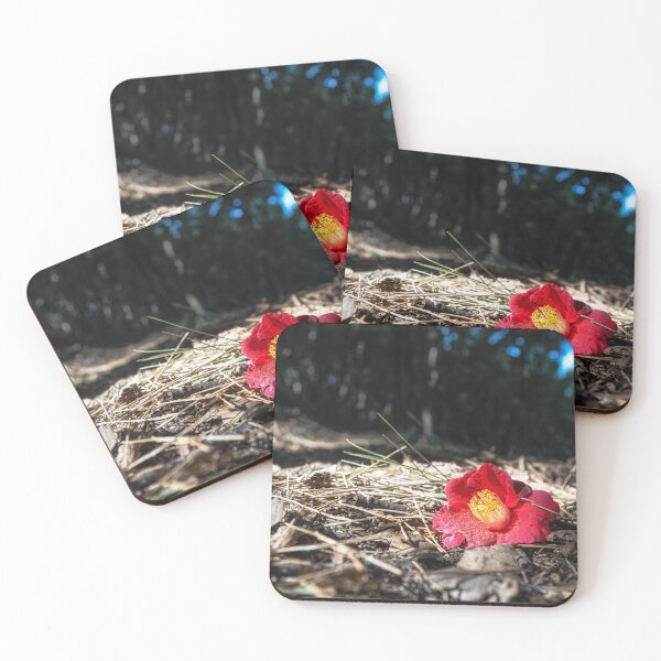 Item preview, A Camellia Flower in Odongdo Island designed and sold by aaronchoi.