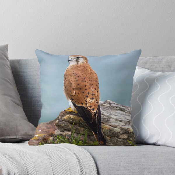 Item preview, Kestrel at Turrimetta Beach designed and sold by Doug Cliff.