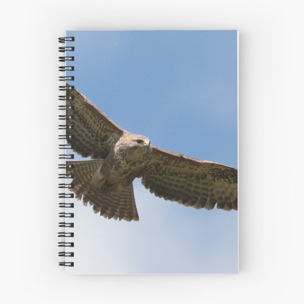 Item preview, Buzzard designed and sold by Neil Bygrave (NATURELENS).