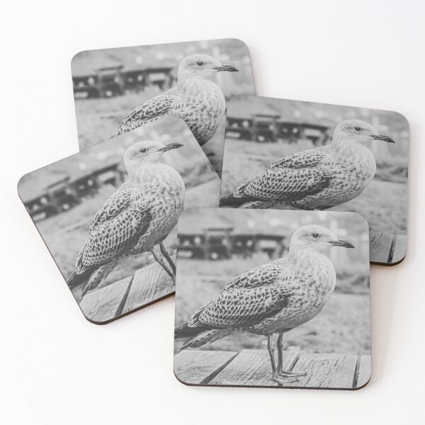 Item preview, Norwegian seagull black and white photography designed and sold by teddyphgraphy.