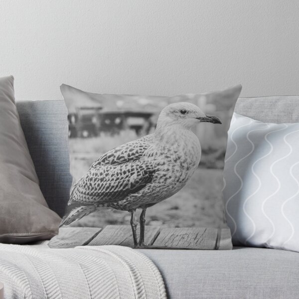 Item preview, Norwegian seagull black and white photography designed and sold by teddyphgraphy.