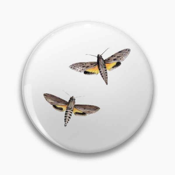 Item preview, Moth Illustration Hand Drawn Vintage designed and sold by VintageBotany.