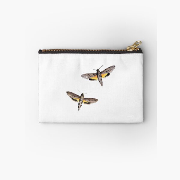 Item preview, Moth Illustration Hand Drawn Vintage designed and sold by VintageBotany.