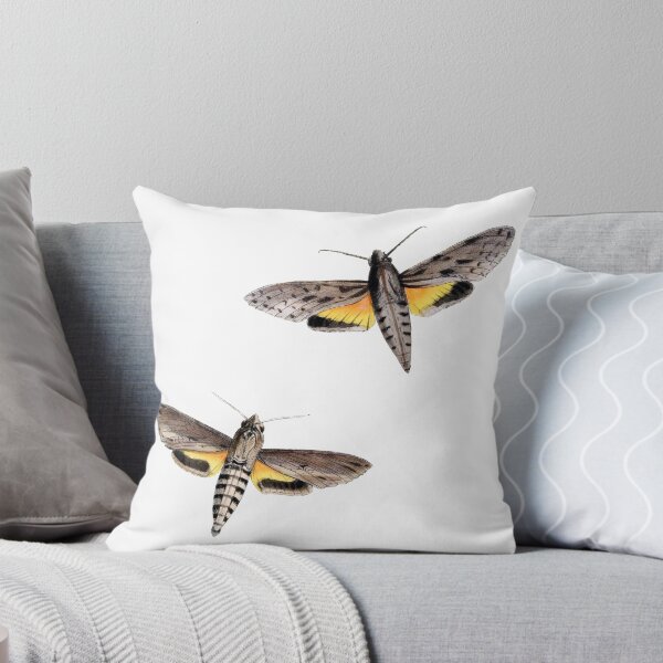 Item preview, Moth Illustration Hand Drawn Vintage designed and sold by VintageBotany.
