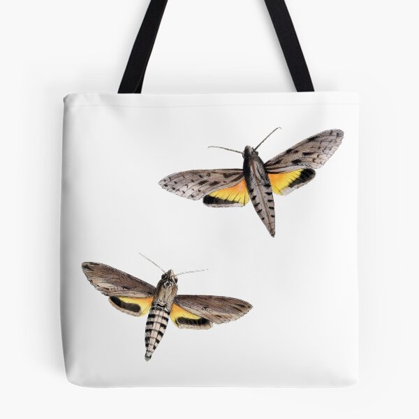 Item preview, Moth Illustration Hand Drawn Vintage designed and sold by VintageBotany.