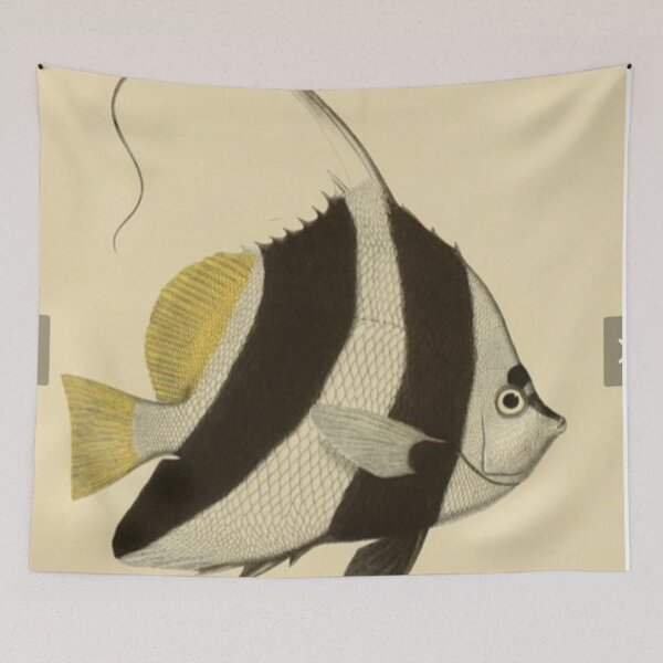 Item preview, Vintage anglefish illustrated design designed and sold by TrippyEarth.