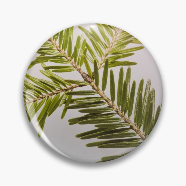 Item preview, Close up Fir Tree Branch Photo designed and sold by teddyphgraphy.