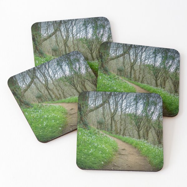 Item preview, Path of White Bluebells designed and sold by Viv Thompson Photography .