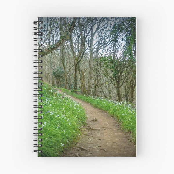 Item preview, Path of White Bluebells designed and sold by Viv Thompson Photography .