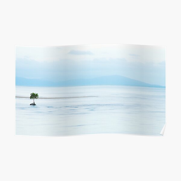One Tree at the Beach Poster