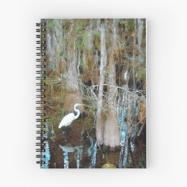 Item preview, A Big Day at Big Cypress National Preserve, Florida designed and sold by Dead-Moroz.