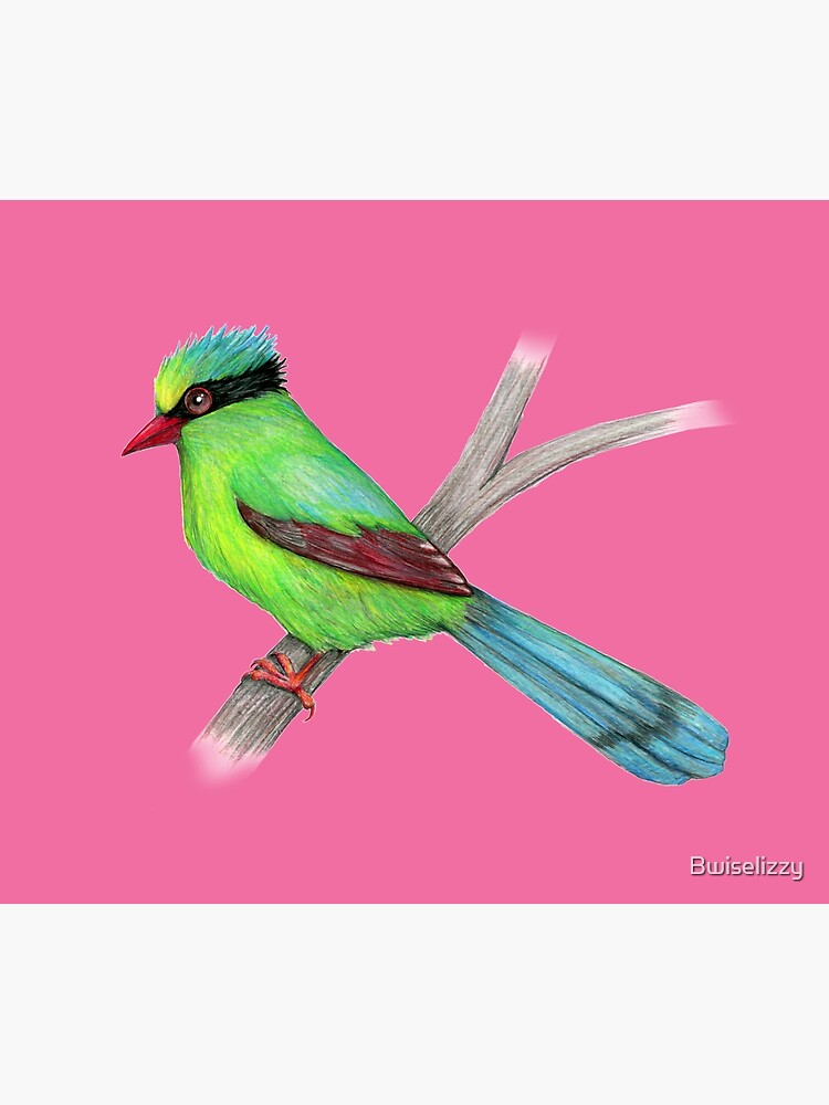 Green magpie pencil drawing by Bwiselizzy
