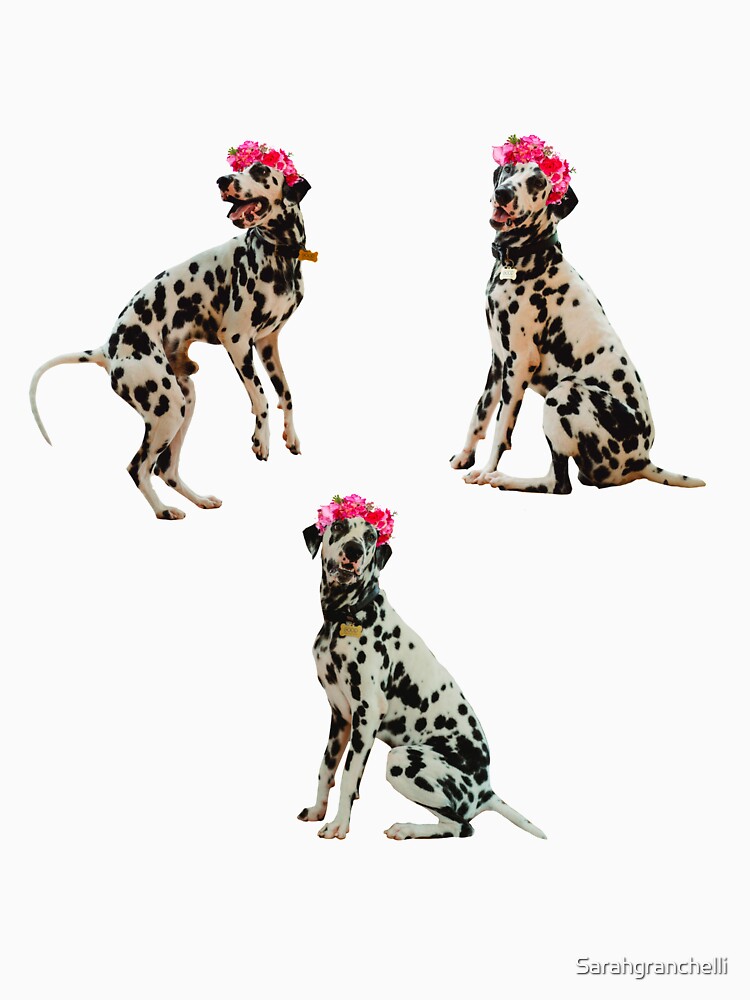 Dalmatian, flower crown by Sarahgranchelli