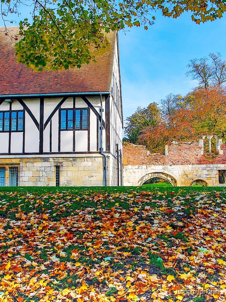 Museum gardens, York, UK in Autumn by Itsgrimupnorth