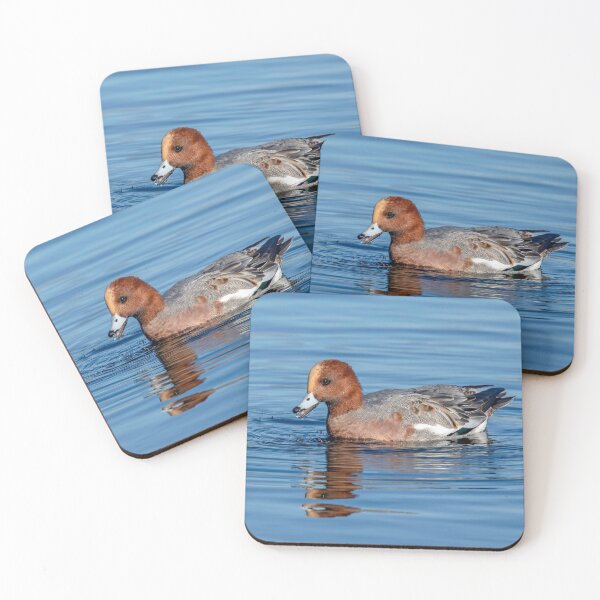Item preview, Widgeon duck in the UK designed and sold by Itsgrimupnorth.
