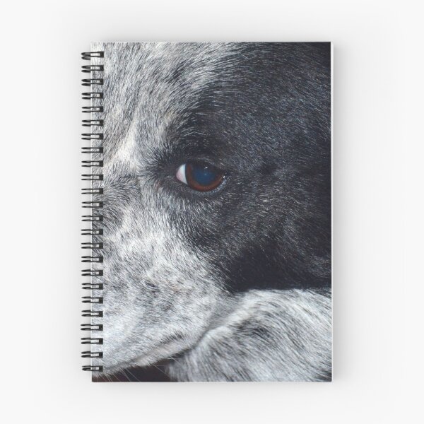 Item preview, Our  Ally designed and sold by jane Mcainsh.