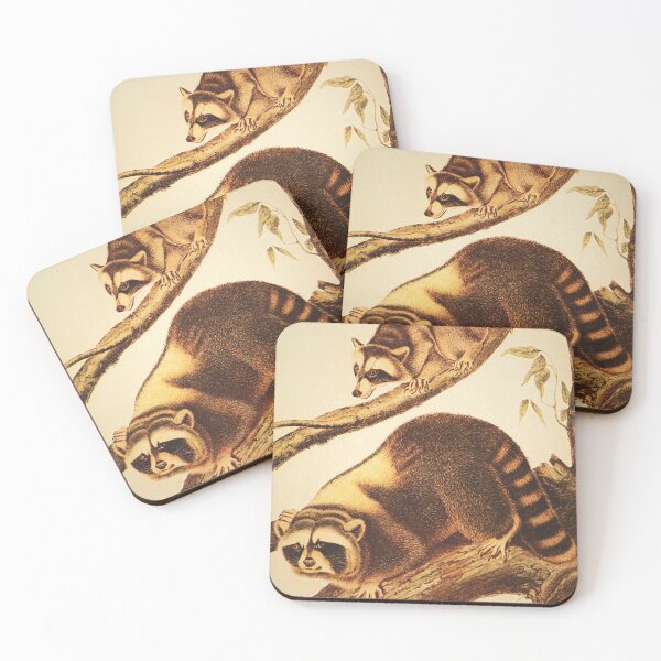 Item preview, The Racoon designed and sold by Santanu1990.