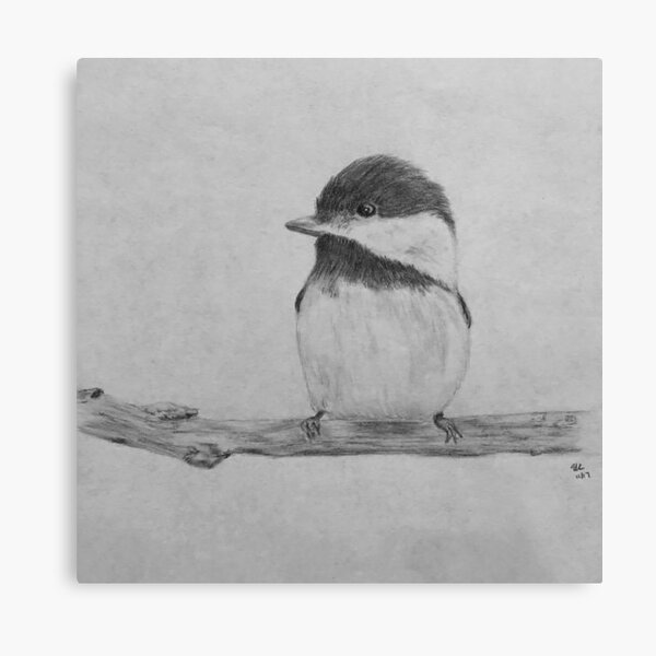 Little Birdie Canvas Print