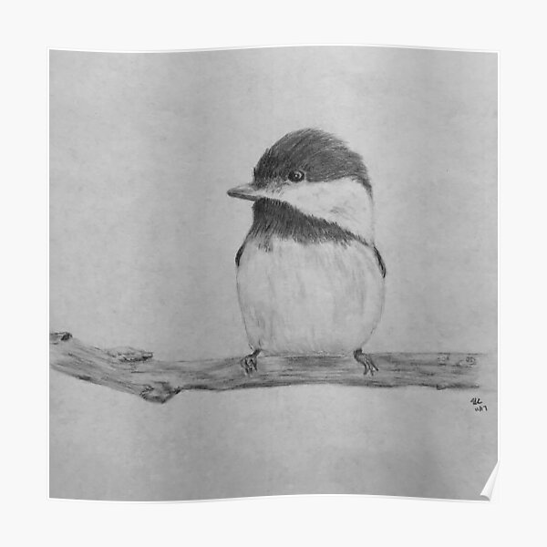 Little Birdie Poster