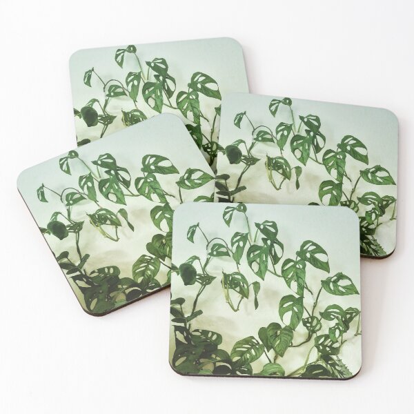 Item preview, Monstera Adansonii designed and sold by ingreendesign.