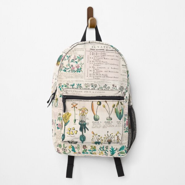 Item preview, School and family charts, No. XX. botanical: forms of leaves, stems, roots, and flowers; botany; the classication of plants (c.1890) print in high resolution by Marcius Willson and Norman A. Calkins. designed and sold by Badmoviesrus.