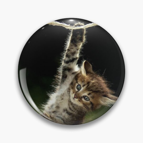 Item preview, Keith Gill the Roaring Kitty Hang in There (YOLO) designed and sold by fomodesigns.
