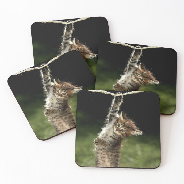 Item preview, Keith Gill the Roaring Kitty Hang in There (YOLO) designed and sold by fomodesigns.