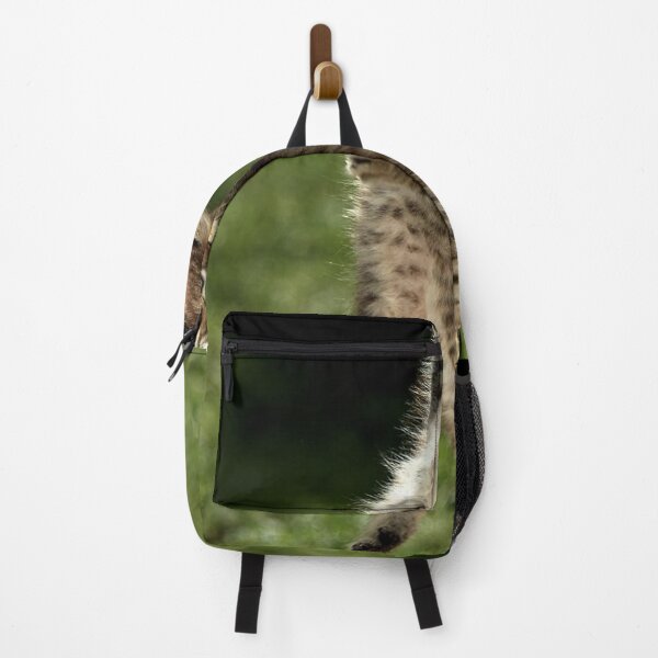 Item preview, Keith Gill the Roaring Kitty Hang in There (YOLO) designed and sold by fomodesigns.