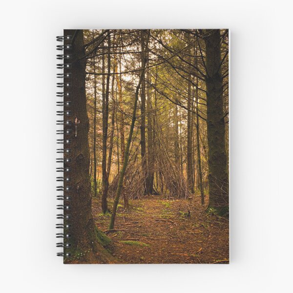 Item preview, Wild camping, woodland shelter, forest photography, enchanted forest, tree scene, English  trees designed and sold by literarylyme.