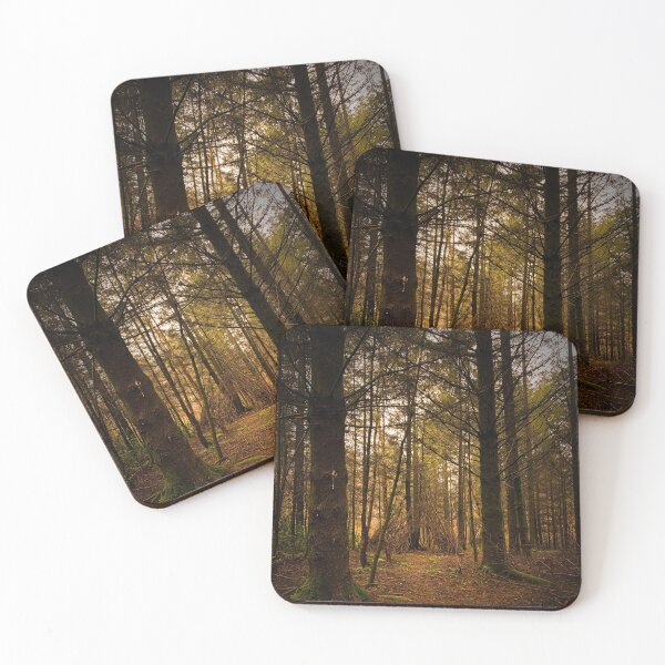 Item preview, Wild camping, woodland shelter, forest photography, enchanted forest, tree scene, English  trees designed and sold by literarylyme.