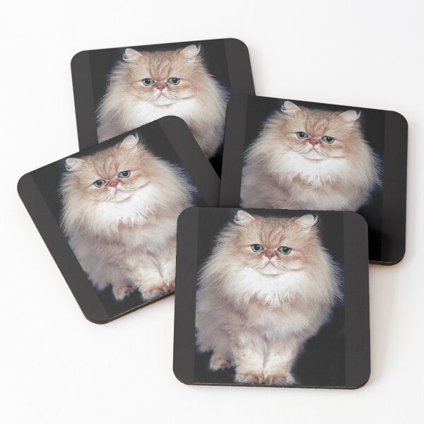Item preview, r2744/ 5 " avec le Studio Portable Okaio et 3 (bal) flahs Okaio  - Les Chats du temps de l'Argentique - Cats from the time of the film "  (h) Olavia-Olao Okaio Créations designed and sold by o.okaïo.