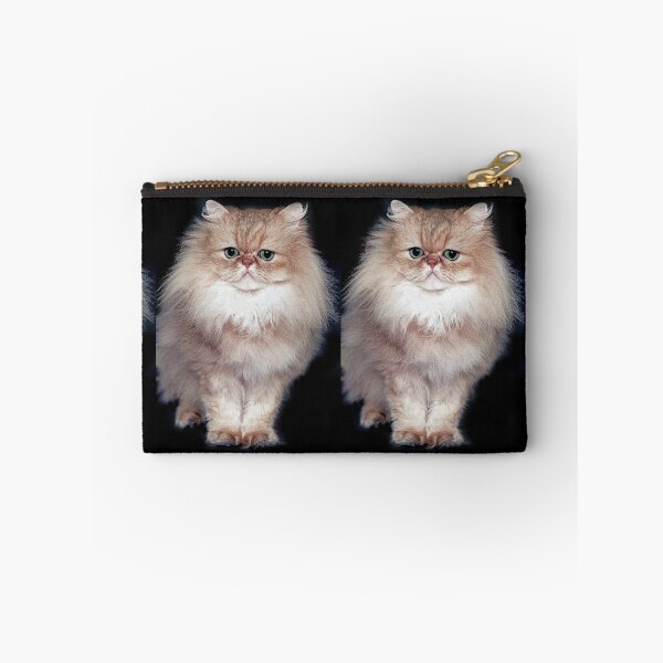 Item preview, r2744/ 5 " avec le Studio Portable Okaio et 3 (bal) flahs Okaio  - Les Chats du temps de l'Argentique - Cats from the time of the film "  (h) Olavia-Olao Okaio Créations designed and sold by o.okaïo.