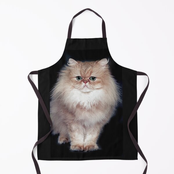 Item preview, r2744/ 5 " avec le Studio Portable Okaio et 3 (bal) flahs Okaio - Les Chats du temps de l'Argentique - Cats from the time of the film " (h) Olavia-Olao Okaio Créations designed and sold by o.okaïo.
