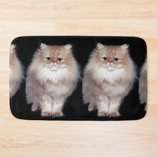 Item preview, r2744/ 5 " avec le Studio Portable Okaio et 3 (bal) flahs Okaio  - Les Chats du temps de l'Argentique - Cats from the time of the film "  (h) Olavia-Olao Okaio Créations designed and sold by o.okaïo.