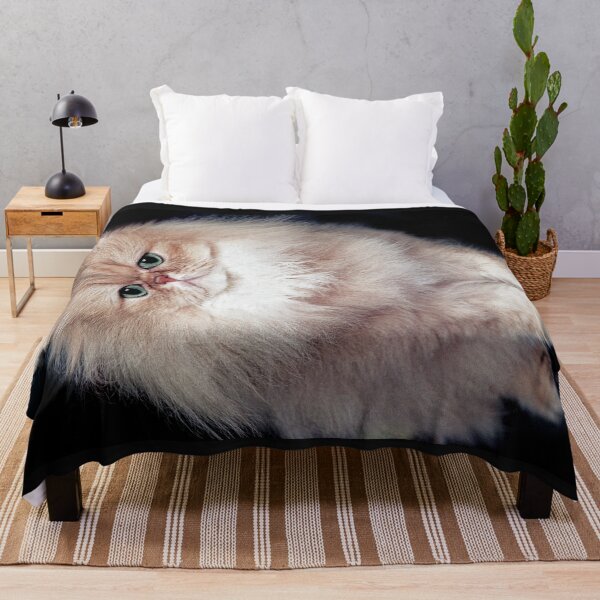 Item preview, r2744/ 5 " avec le Studio Portable Okaio et 3 (bal) flahs Okaio  - Les Chats du temps de l'Argentique - Cats from the time of the film "  (h) Olavia-Olao Okaio Créations designed and sold by o.okaïo.
