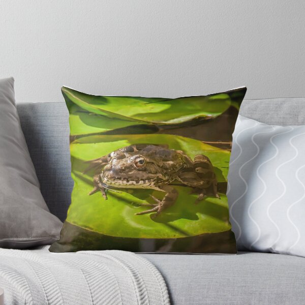 Item preview, Ive got my eye on you designed and sold by peter hayward.
