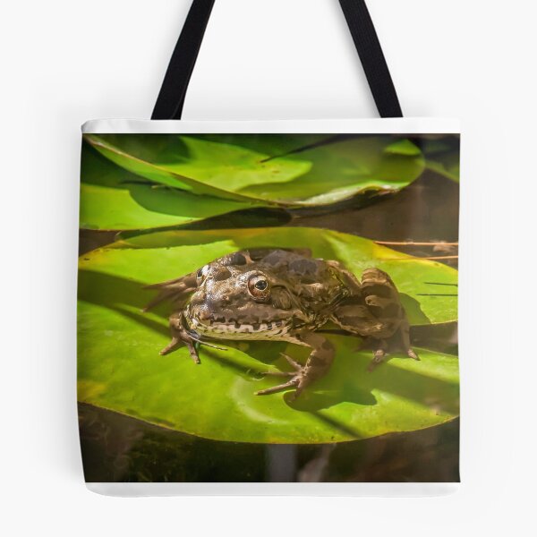 Item preview, Ive got my eye on you designed and sold by peter hayward.