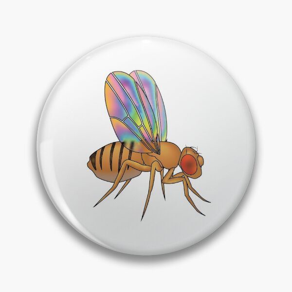 Item preview, drosophila melanogaster  designed and sold by sarahhill787.