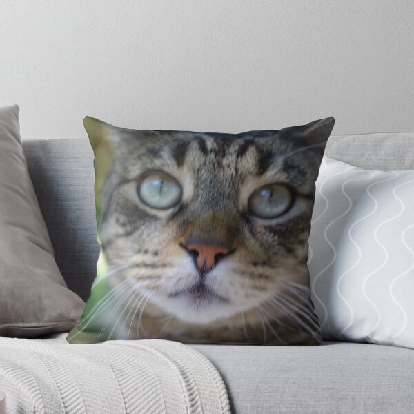 Item preview, Bob the Cat designed and sold by TheMightyEye.