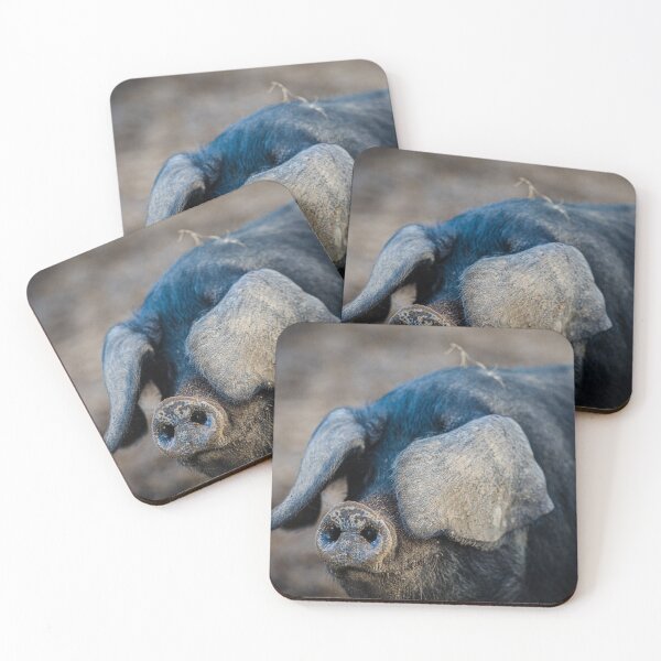 Item preview, Big, Black, Hairy and Gorgeous... It's a Pig Thing! designed and sold by Rebecca Woods.