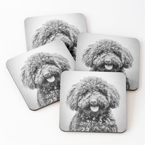 Item preview, Toy Poodle dog - BW Vintage - D88 designed and sold by DecoVintage.