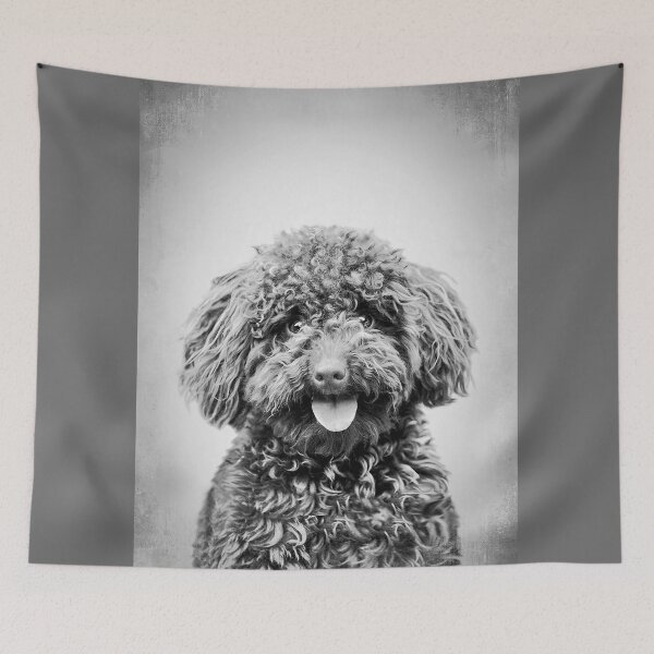 Item preview, Toy Poodle dog - BW Vintage - D88 designed and sold by DecoVintage.