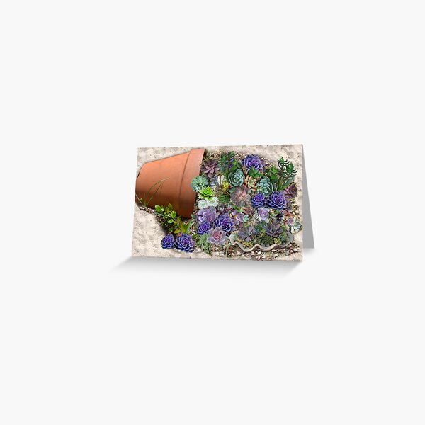 Succulents for sale Greeting Card