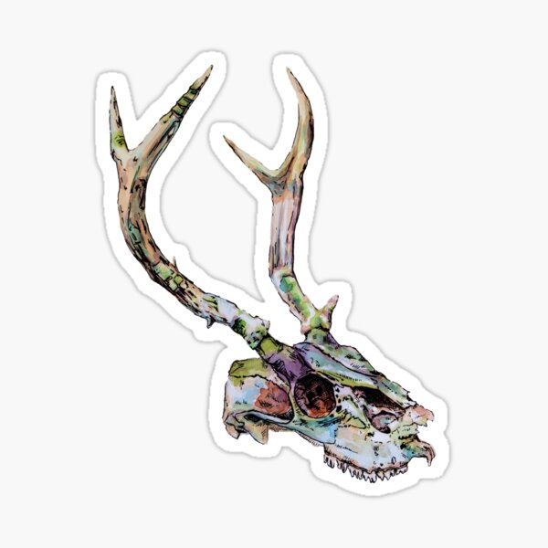Watercolor Deer Skull Sticker